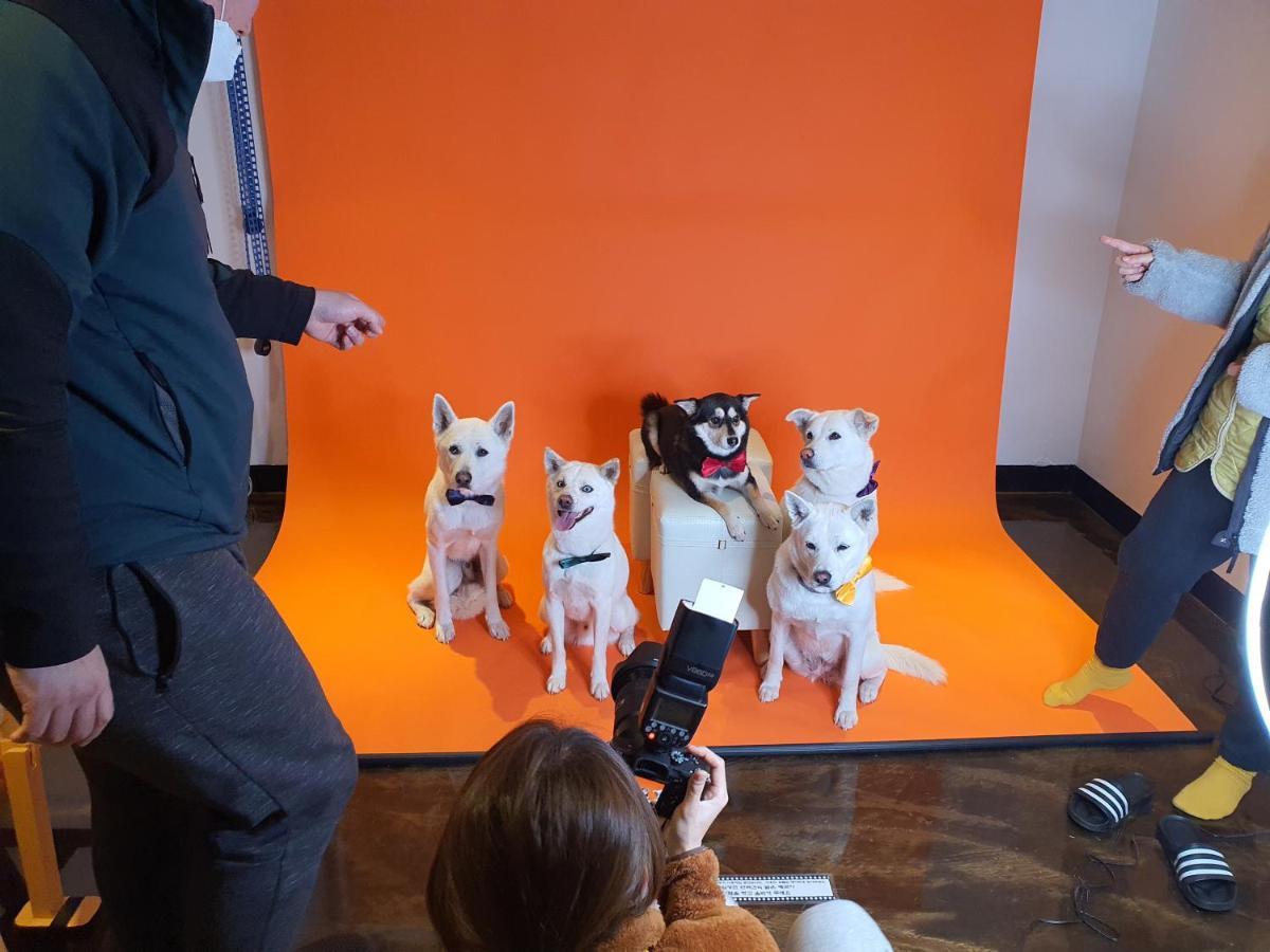 ホンジク チェジュ ホテル 済州市 エクステリア 写真