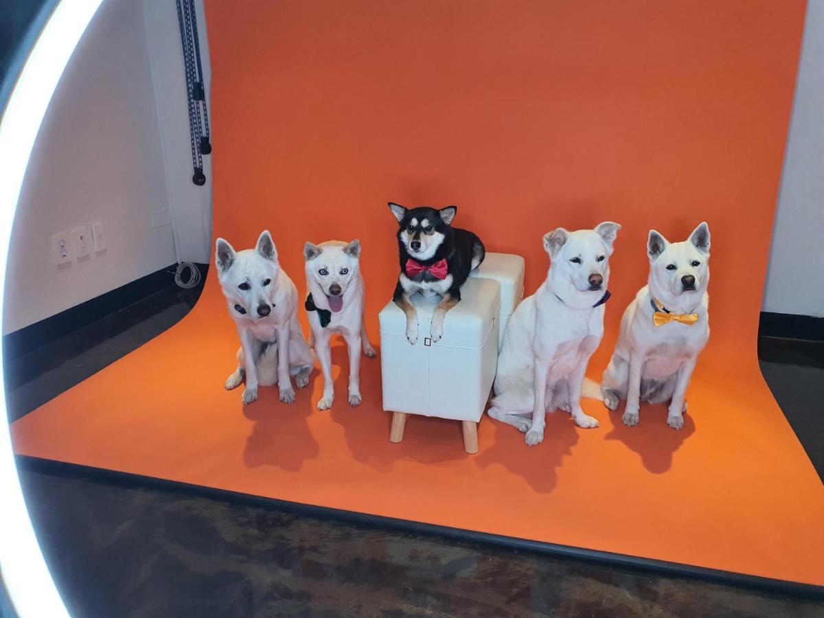 ホンジク チェジュ ホテル 済州市 エクステリア 写真