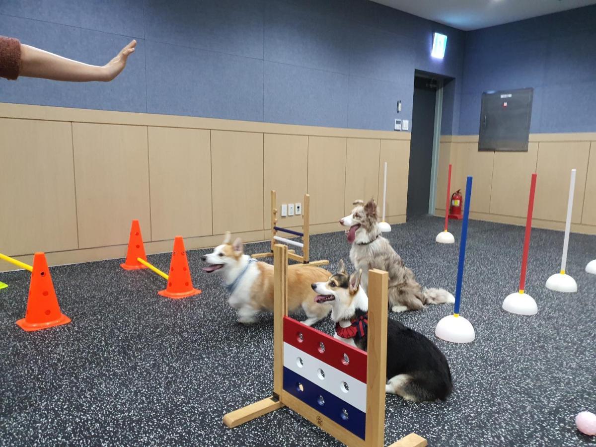 ホンジク チェジュ ホテル 済州市 エクステリア 写真