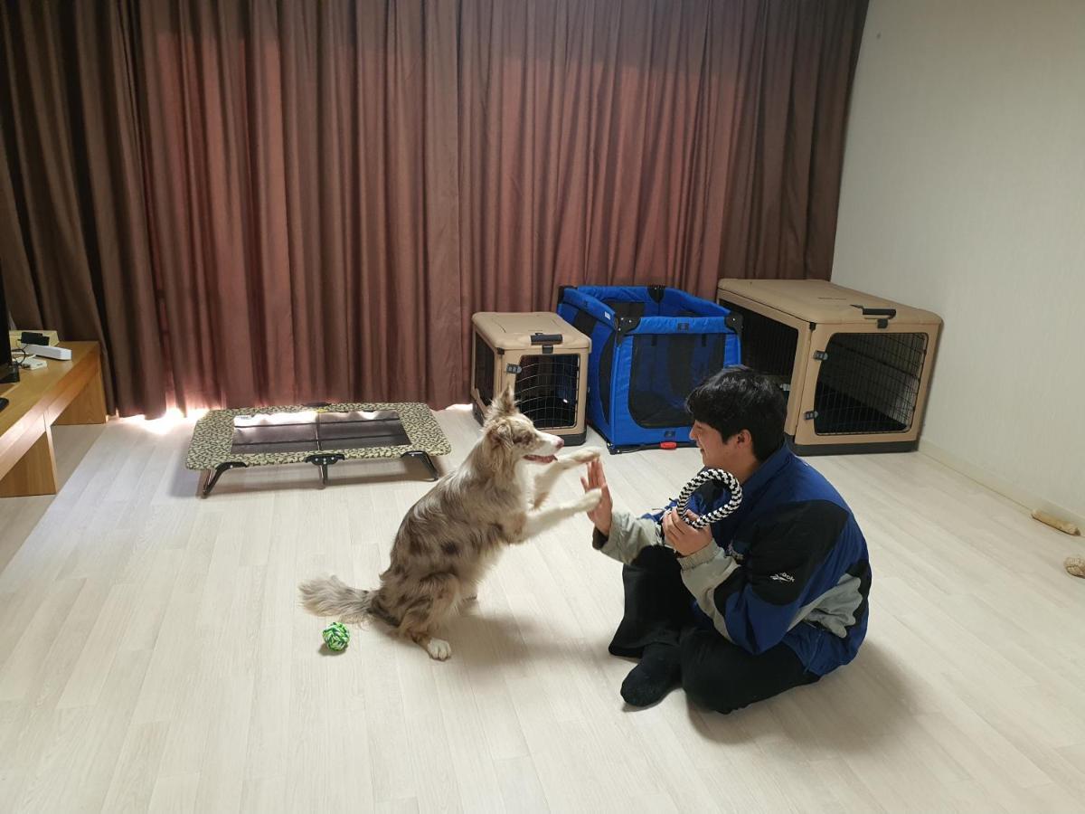 ホンジク チェジュ ホテル 済州市 エクステリア 写真