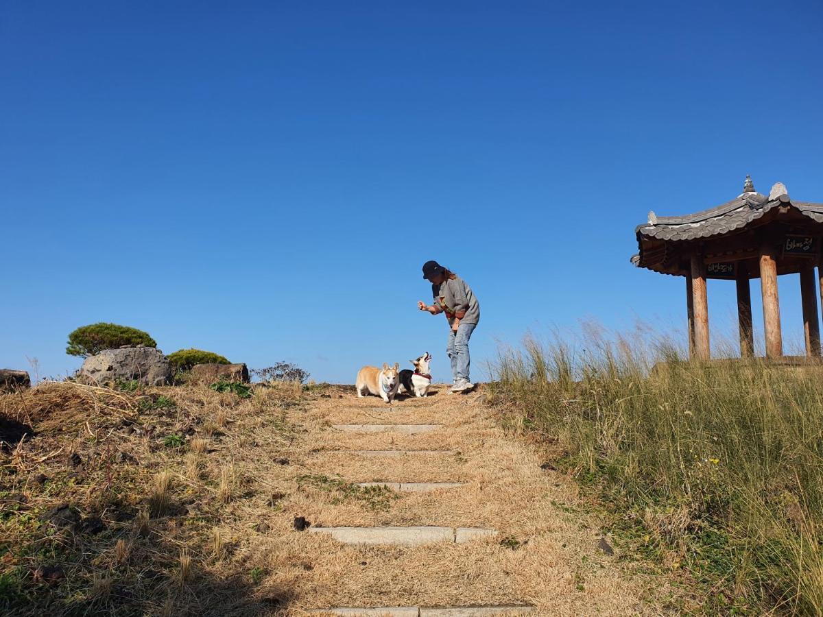 ホンジク チェジュ ホテル 済州市 エクステリア 写真