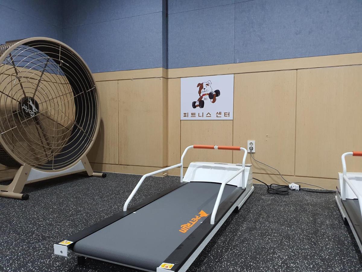 ホンジク チェジュ ホテル 済州市 エクステリア 写真